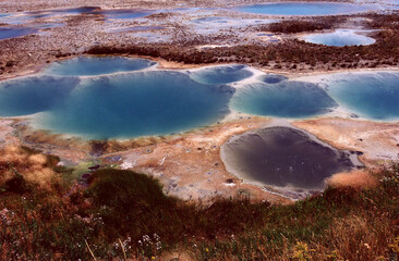 yellowstone national park usa geyser