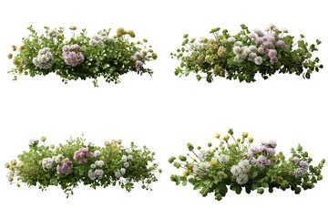 緑に包まれた素朴な寄せ植えの草花たち_背景透過_切り抜き