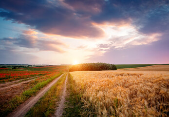 Cultivated fields stretch towards the horizon, where vibrant colors of sunset paint the sky in a...
