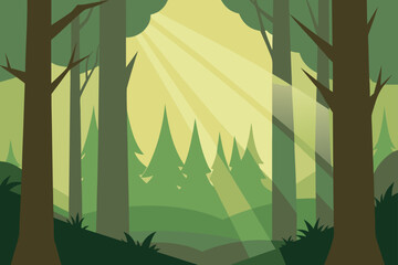woodland with sunlight breaking through fog