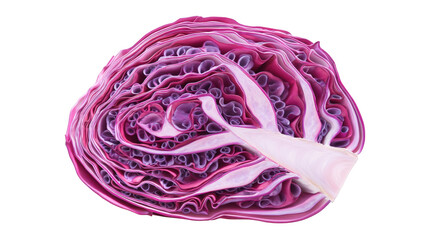 Fototapeta premium Cross-Section of Red Cabbage Exhibiting Intricate Layered Structure, Vibrant Pink and Purple Hues, Isolated on White, Showcasing Freshness and Natural Beauty, Detail and Close-Up View.