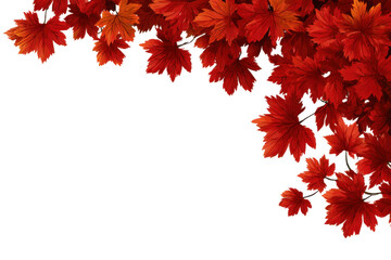 Vibrant red maple leaves border decoration isolated on transparent background