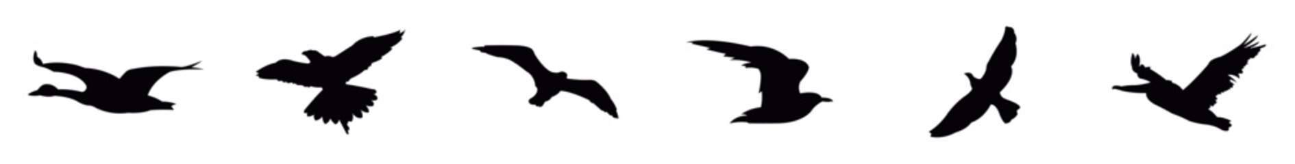 Vector collection of flying bird silhouettes, Birds flying silhouette on a isolated white background. vector illustration