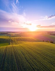 Fototapeta premium Aerial sunset view of green crop fields. Golden sun above horizon, dramatic sky