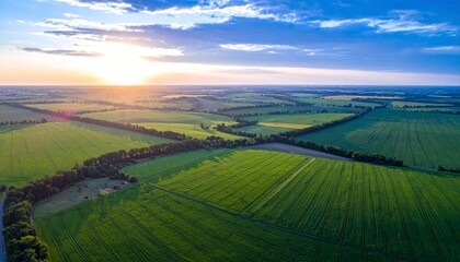 Fototapeta premium Aerial sunset view of green crop fields. Golden sun above horizon, dramatic sky