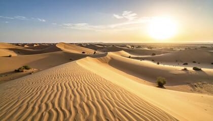 Golden sand dune desert landscape with sunlight and scattered green bushes