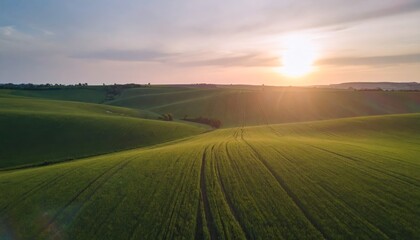 Obraz premium Aerial sunset view of green crop fields. Golden sun above horizon, dramatic sky
