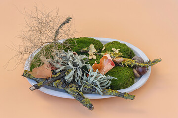 Decorative arrangement of moss and natural elements on an orange background