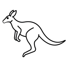 kangaroo vector illustration