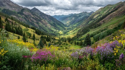 A breathtaking view of a lush valley surrounded by majestic mountains and colorful wildflowers under a cloudy sky.