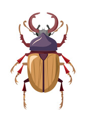 Flat Vector Illustration of a Rhinoceros Beetle (Kumbang Tanduk)