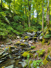 A view of the Roman Gorge near Velden am Woerthersee