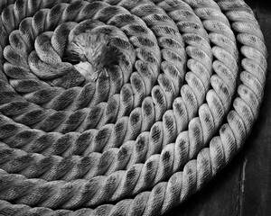 A sailor ropes is laying spread out on a wooden floor