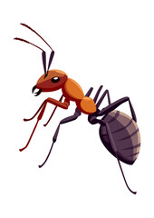 Flat Vector Illustration of a Weaver Ant (Semut Rangrang)