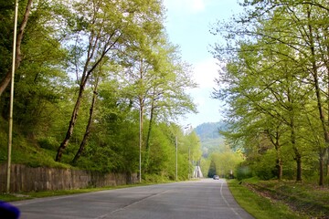 A picturesque road high in the mountains among green forests against the backdrop of a blue sky with white clouds.