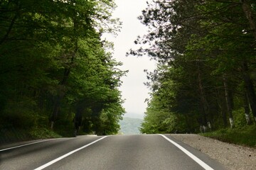 A picturesque road high in the mountains among green forests against a foggy sky.
