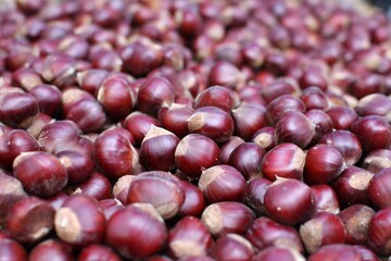 Obraz premium A pile of red nuts, possibly walnuts, with a brownish tinge