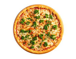 Delicious looking pizza on black background