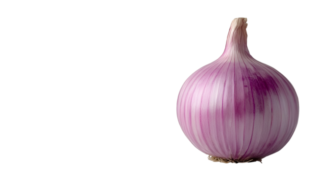 Isolated red onion bulb on black background for cooking recipe and healthy eating with copy space area isolated on transparent background