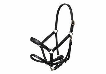 Black Leather Horse Halter, Stable Supplies on white background