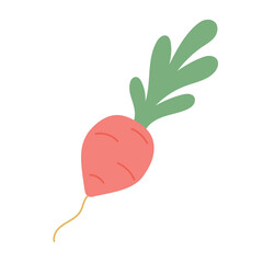 Whimsical pink carrot with leafy green top, suitable for spring farm graphics, vegetarian cookbook art, or playful organic market branding.