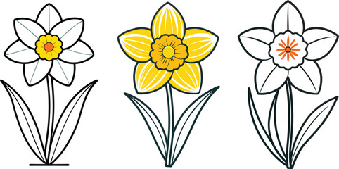 Set Daffodil flower art Vector Illustration Design