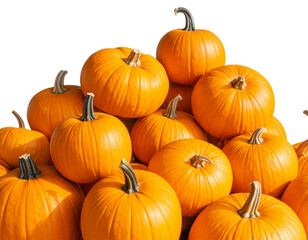 Obraz premium Isolated pumpkin background on white background. 