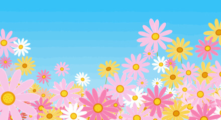 Blooming Daisies: A Vibrant Field of Colorful Flowers Under a Blue Sky Backdrop
