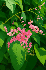 This is a digital illustration of the Coral Vine, also known as Mexican Creeper or Chain of Love, featuring clusters of small pink flowers blooming along slender, winding vines. The delicate blossoms 