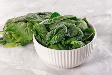 Raw green baby spinach plant