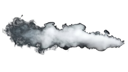 Obraz premium Soft white smoke swirl in abstract motion with transparent effect on white background