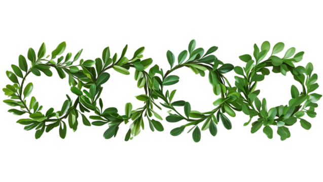 Eco-friendly green leaves wreaths transparent background, high-resolution, no shadow or contact between elements png cut out