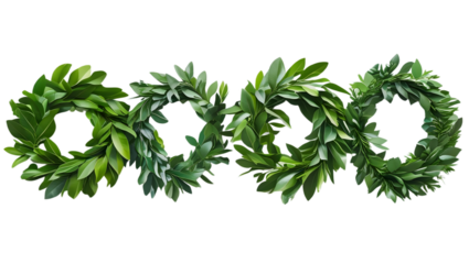 Eco-friendly green leaves wreaths transparent background, high-resolution, no shadow or contact between elements png cut out
