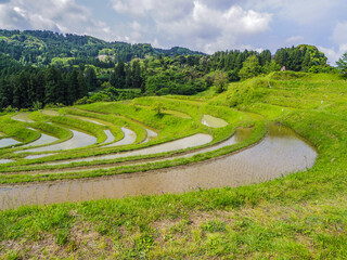 【千葉県】鴨川市・大山千枚田
