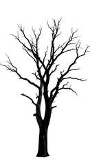 Obraz premium Winter's Embrace: A Silhouette