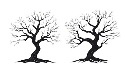 冬の骨 (Fuyu no Hone)