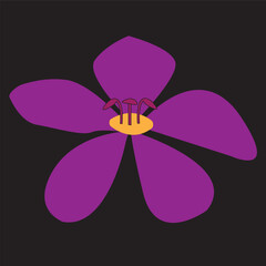 hand drawn vector illustration of flower isolated on black background