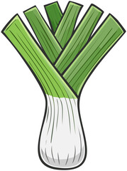 Hand Drawn Leek Plant with White Bulb and Green Tops
