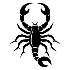vector illustration of a scorpion