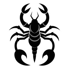 scorpion vector illustration