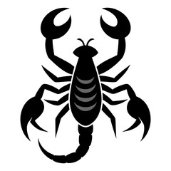 scorpion vector illustration