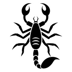 Vector art illustration of a scorpion
