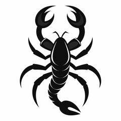 vector scorpion silhouette