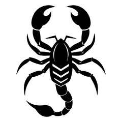 black scorpion isolated on white