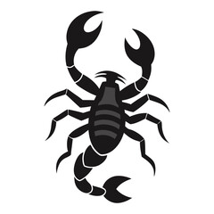 scorpion vector illustration