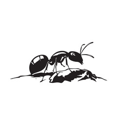 Ants Roll Heavy Stones Uphill At Rock silhouette vector
