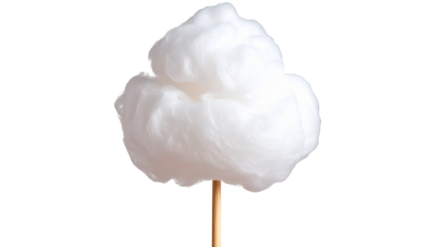 Cotton candy on a stick with a fluffy, cloud-like texture in a soft pastel color.