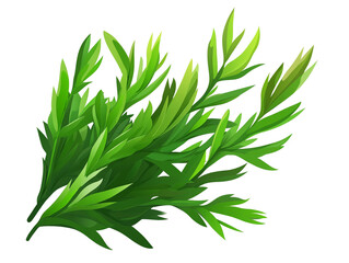 Obraz premium A lush bunch of green foliage isolated on transparent background creates a natural aesthetic