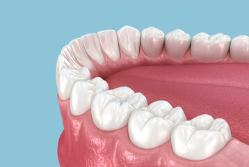 Teeth anatomy. Dental dental 3D illustration