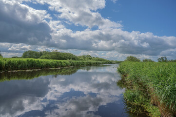 Nature Reserve Alte Sorge-Schleife close to Meggerdorf,Schleswig-Holstein,Schleswig-Flensburg District,Germany